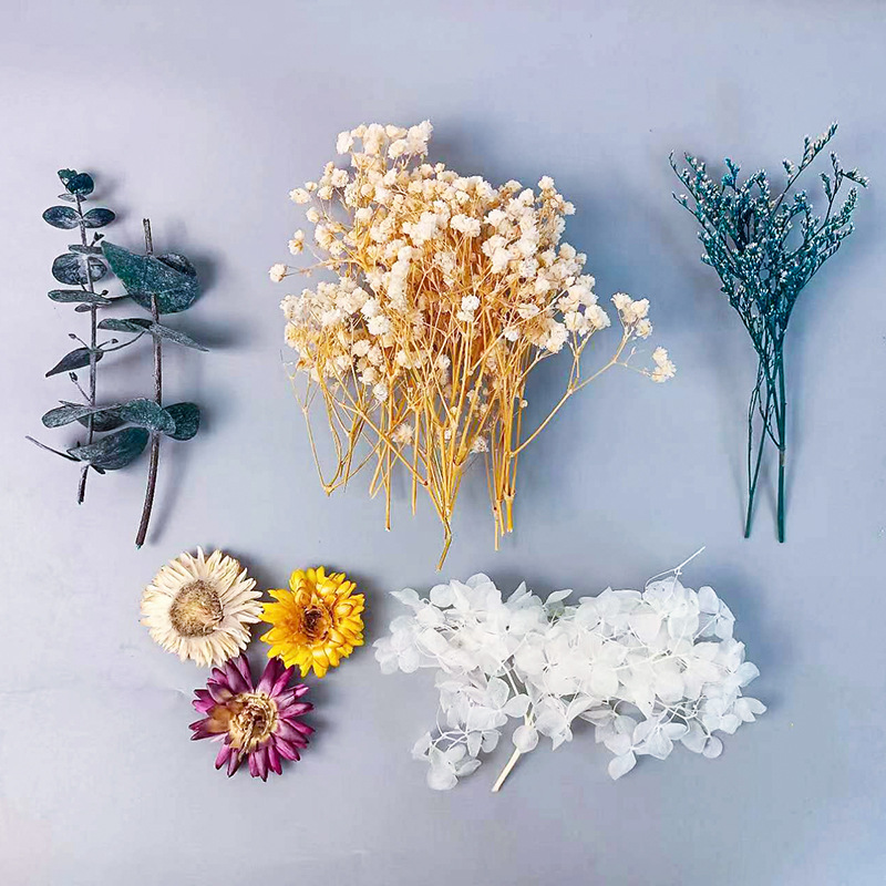 1pack Multifarious Dried Flowe - đánh giá và giá Craft Embellishments